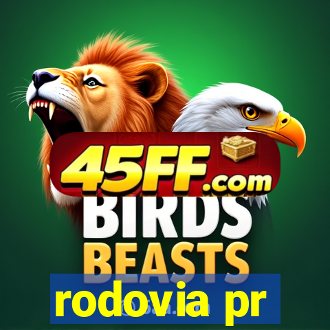 rodovia pr-317 km 155 onde fica